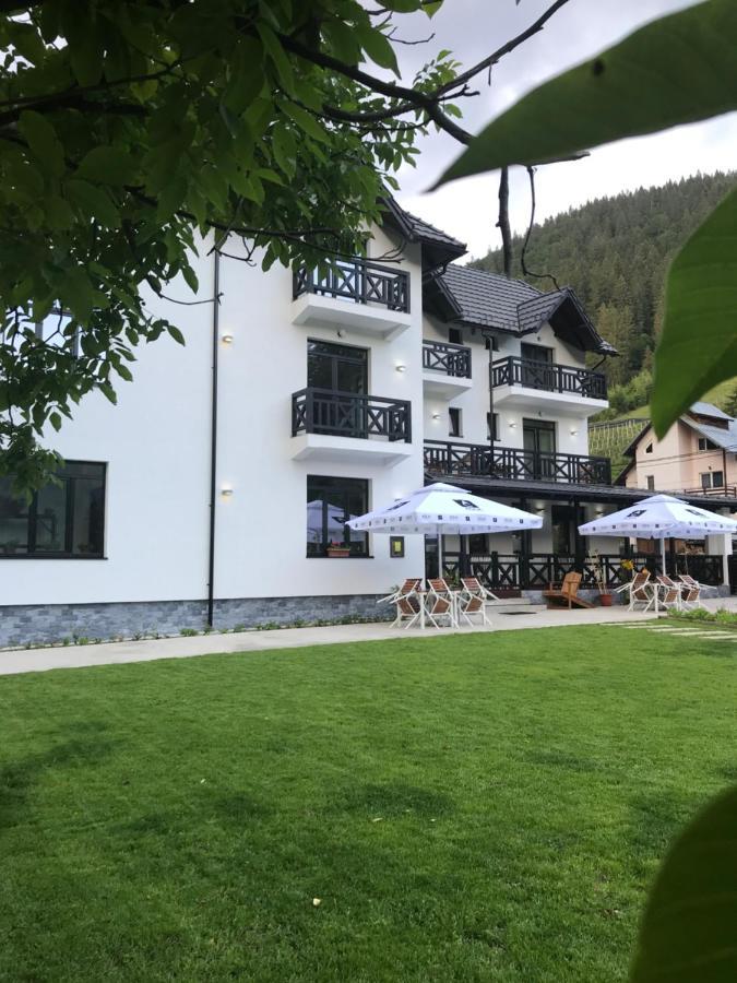 Pensiunea Edelweiss Voineasa Exteriör bild