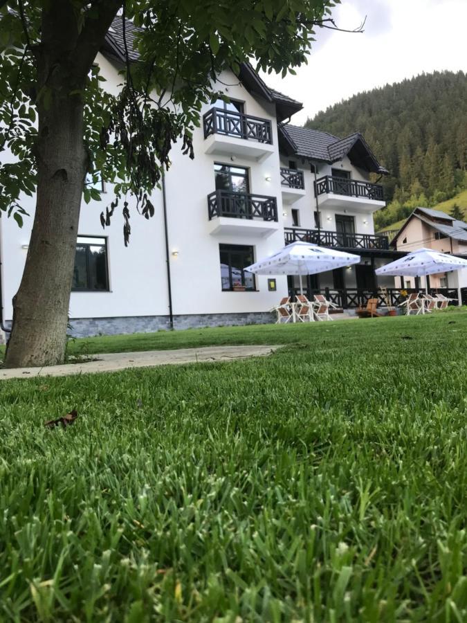 Pensiunea Edelweiss Voineasa Exteriör bild