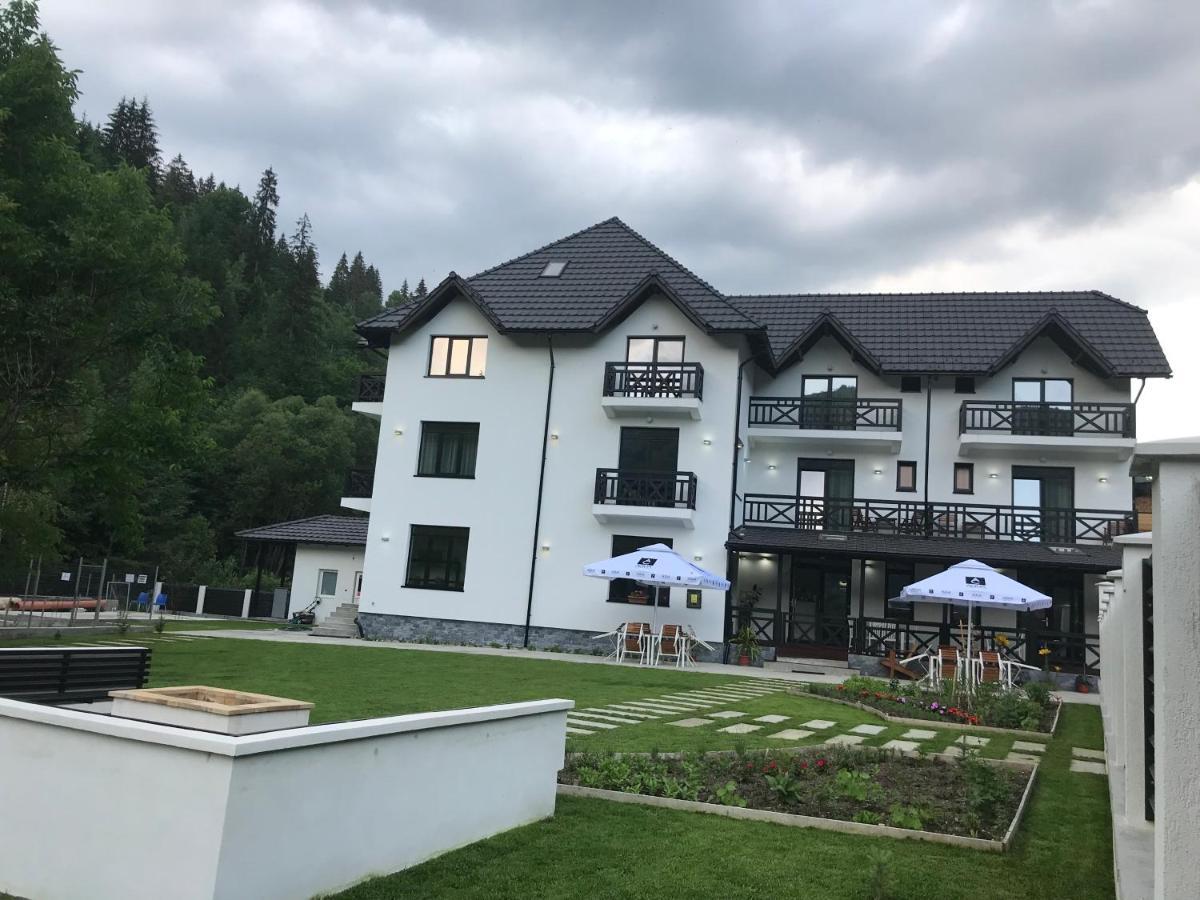 Pensiunea Edelweiss Voineasa Exteriör bild