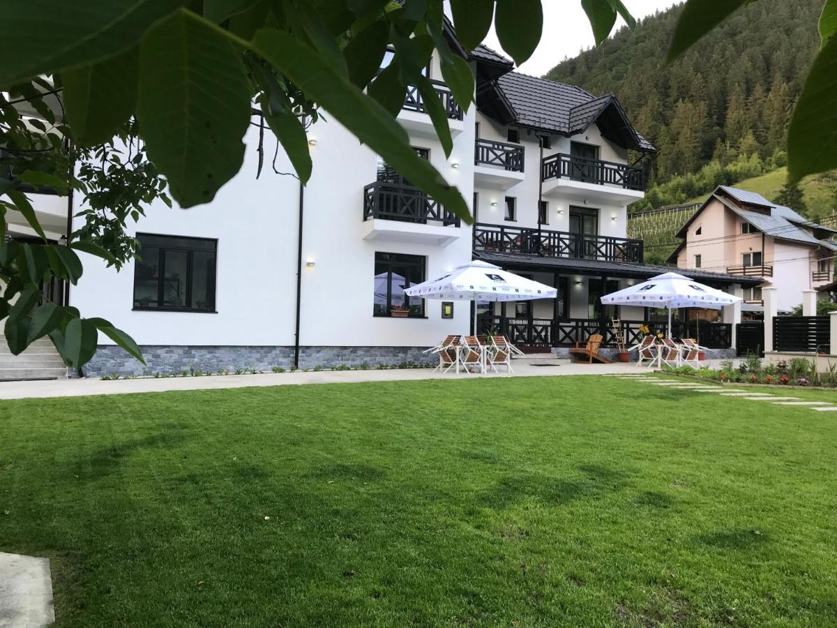 Pensiunea Edelweiss Voineasa Exteriör bild