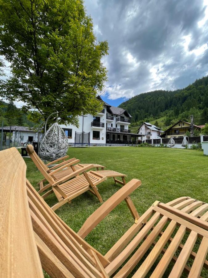 Pensiunea Edelweiss Voineasa Exteriör bild