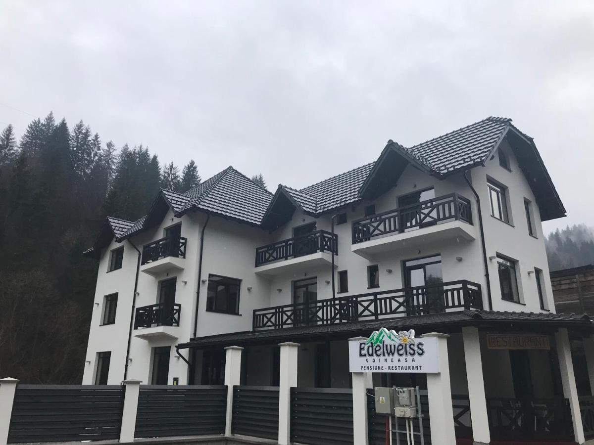 Pensiunea Edelweiss Voineasa Exteriör bild