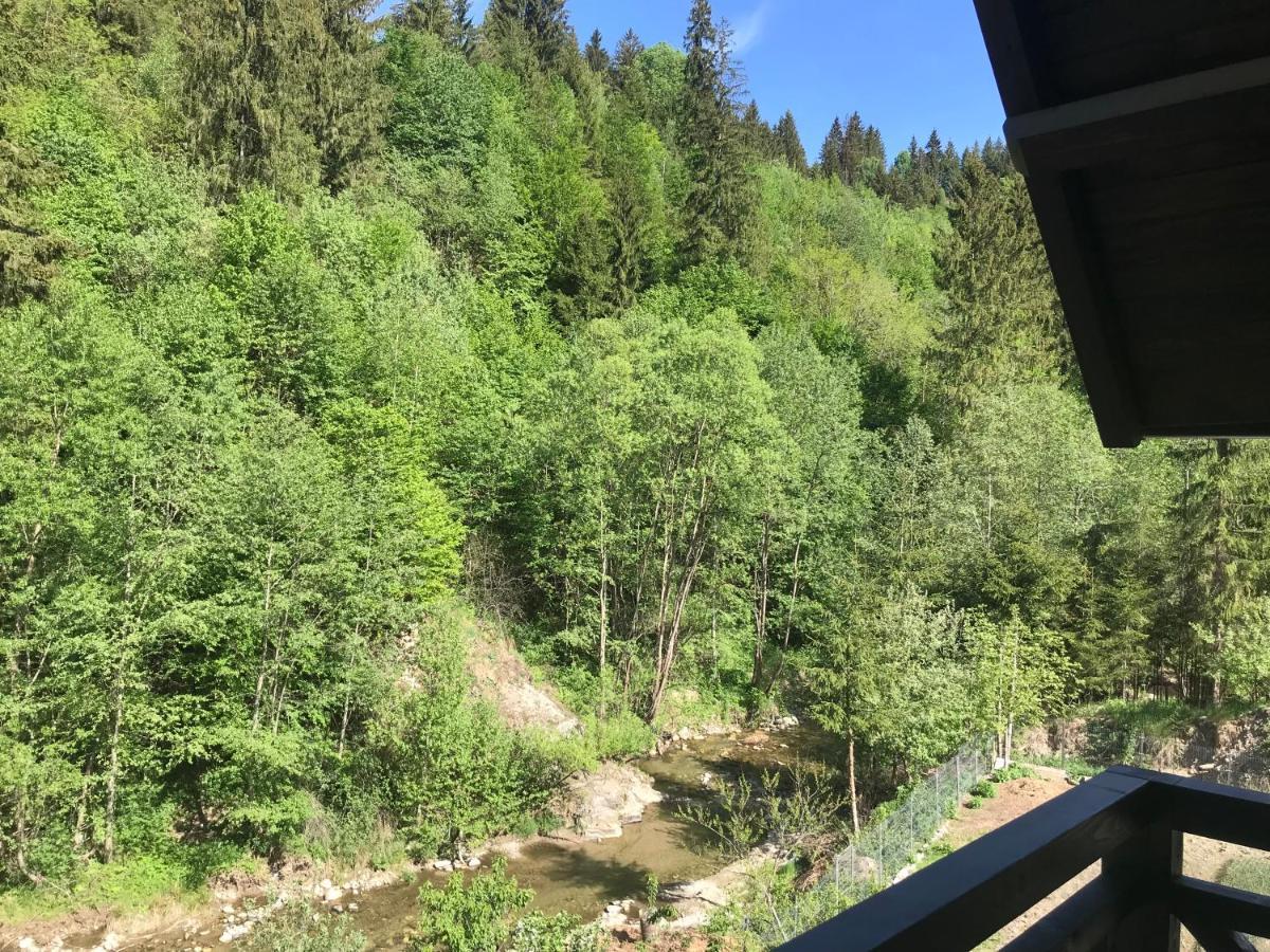 Pensiunea Edelweiss Voineasa Exteriör bild