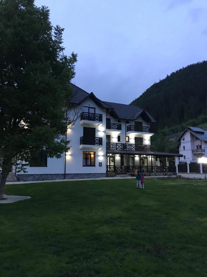 Pensiunea Edelweiss Voineasa Exteriör bild